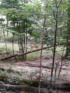 20160722_145941