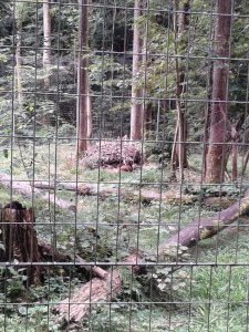 20160722_151804