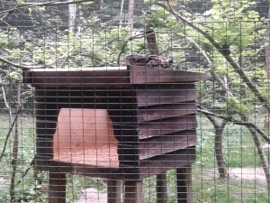 20160722_152315
