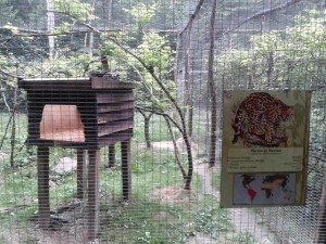 20160722_152321