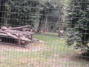 20160722_153956