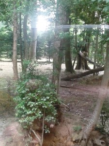 20160722_154734