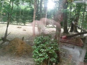 20160722_154739