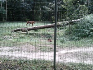 20160722_155446