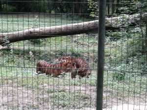 20160722_155454
