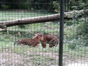 20160722_155456